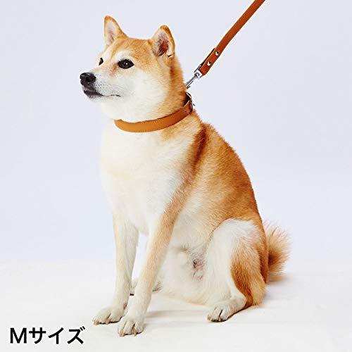 ペティオ (Petio) Porta ポルタ ソフトレザーカラー Mサイズ 21mm キャメル