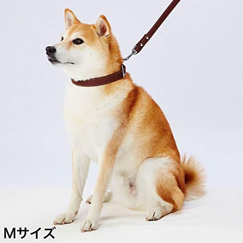 ペティオ (Petio) Porta ポルタ ソフトレザーカラー Mサイズ 21mmブラウン