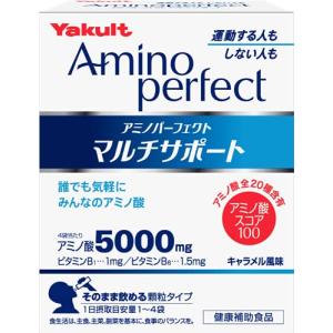 サンテテクニカ　毎日水素　ハイレベル4個 サンテテクニカ 毎日水素 ハイレベル4個 サンテテクニカ 毎日