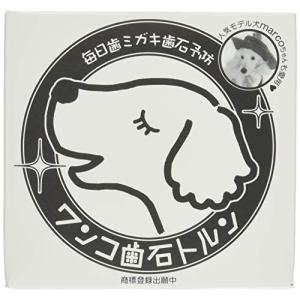 ふしみ和紙アート研究所 ワンコ歯石トルン｜plusa-main
