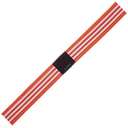 ライオン事務器 ゴムバンド ゴムdeパッチ 15mm幅 GP-153D オレンジ