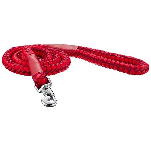 ペティオ (Petio) NEWマールリード レッド 大型犬用 18mm