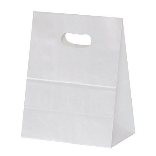 パックタケヤマ 紙袋 イーグリップ M 白無地 50枚 XZT52001