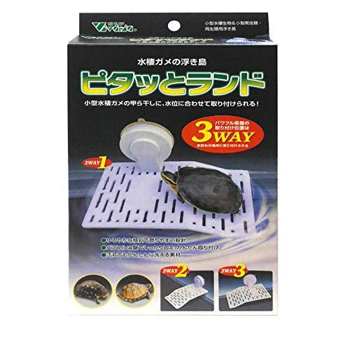 ビバリア ピタッとランド