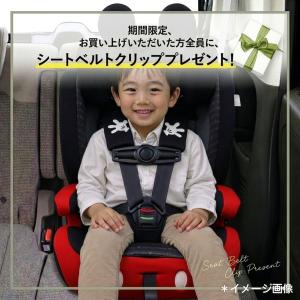 期間限定プレゼント! ディズニー ハーネスジュ...の詳細画像1