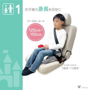 ディズニー ブースター/さりげなミッキー 12...の詳細画像4