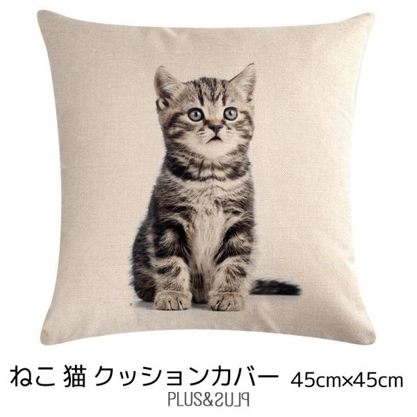 クッションカバー ねこ アメショー シルバー 猫 ネコ 子猫 45x45cm おしゃれ かわいい ア...