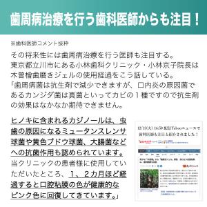 木曽檜歯磨きジェルPREMIUM 80g 10...の詳細画像1