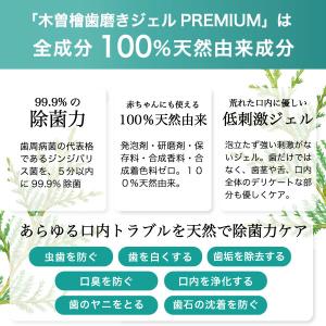 木曽檜歯磨きジェルPREMIUM 80g 10...の詳細画像2