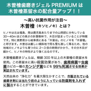 木曽檜歯磨きジェルPREMIUM 80g 10...の詳細画像4