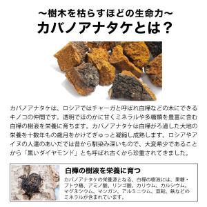 送料無料 樺のあな茸茶 1箱 1g×30包入 ...の詳細画像2