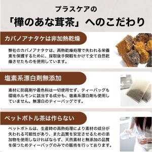 送料無料 樺のあな茸茶 1箱 1g×30包入 ...の詳細画像3