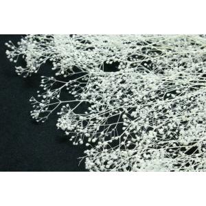 【プリザーブドフラワー 花材 資材】ミニカスミ...の詳細画像1