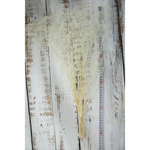 【プリザーブドフラワー 花材 資材】ミニカスミ...の詳細画像2