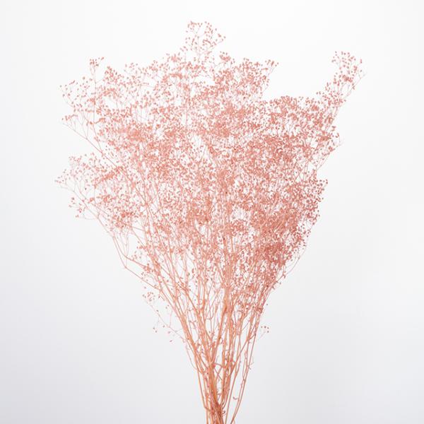 【プリザーブドフラワー　花材　資材】ミニカスミ草・ピンクベージュ・大地農園