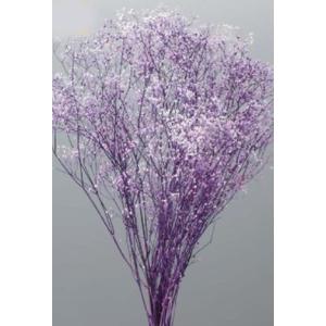 【プリザーブドフラワー 花材 資材】 ミニカスミ...の商品画像