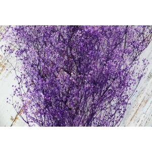 【プリザーブドフラワー 花材 資材】 ミニカス...の詳細画像1