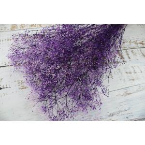 【プリザーブドフラワー 花材 資材】 ミニカス...の詳細画像2