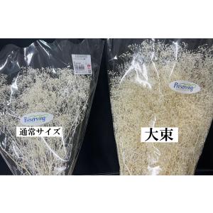 【プリザーブドフラワー 花材 資材】 ミニカス...の詳細画像1