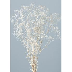 【プリザーブドフラワー 花材 資材】 スーパー...の詳細画像1