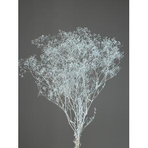 プリザーブドフラワー 花材 資材】 ピュアホワイト・デンファレ・大地