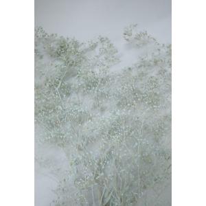 【プリザーブドフラワー 花材 資材】 スーパー...の詳細画像2