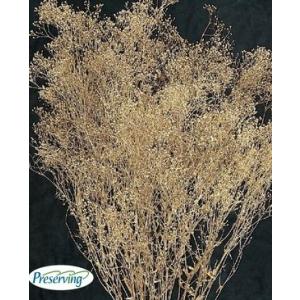 【プリザーブドフラワー　花材　資材】 スーパーソフトカスミ草・ゴールド・大地農園