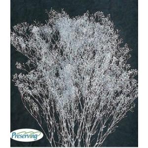 【プリザーブドフラワー　花材　資材】 スーパーソフトカスミ草・シルバー・大地農園