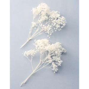 【プリザーブドフラワー　花材　資材】 カスミ草・ミリオンスター・白・大地農園