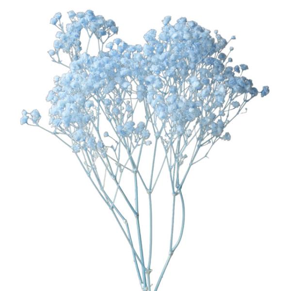 【プリザーブドフラワー　花材　資材】カスミ草・オーバータイム・ブルー・カスミソウ　小花　ハーバリウム...