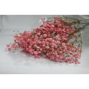 【プリザーブドフラワー　花材　資材】 ピンク・アンティークプリザ・カスミ草・大地農園