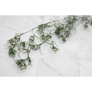【プリザーブドフラワー 花材 資材】 ゴアナク...の詳細画像1