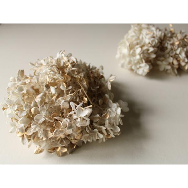 【プリザーブドフラワー　花材　資材】 ピラミッドアジサイ・ヘッド・ホワイトゴールド・大地農園