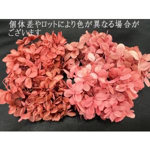 【プリザーブドフラワー 花材 資材】 ピラミッ...の詳細画像1
