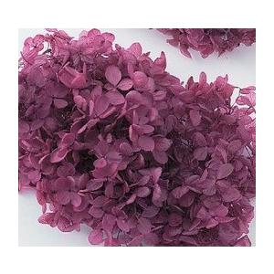 【プリザーブドフラワー　花材　資材】 ピラミッドアジサイ・ヘッド・カシスワイン