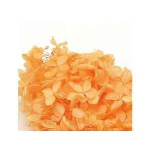 【プリザーブドフラワー　花材　資材】 ピラミッドアジサイ・ヘッド・ジュリアオレンジ