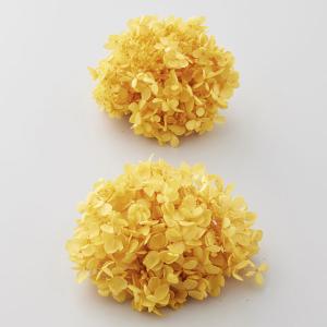 【プリザーブドフラワー 花材 資材】ピラミッドア...の商品画像