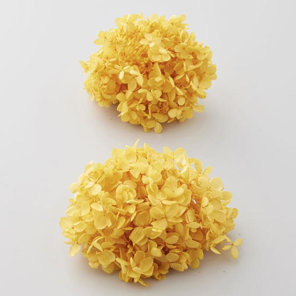 【プリザーブドフラワー　花材　資材】ピラミッドアジサイ・ヘッド・ミモザイエロー・大地農園