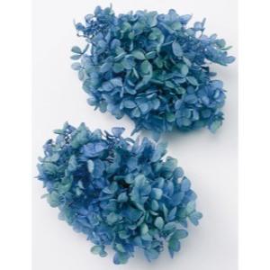 【プリザーブドフラワー　花材　資材】 ピラミッドアジサイ・ヘッド・ブルーライム