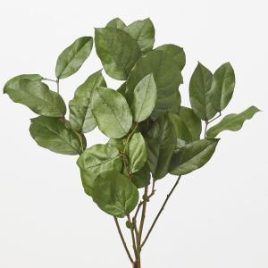 プリザーブド 大地農園 モリソニア 20g エンジェルパープル 03300-451