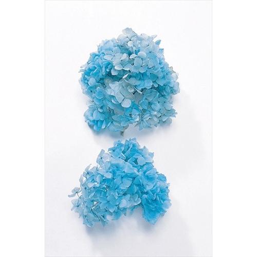 【プリザーブドフラワー　花材　資材】 ゆめアジサイ・ヘッド・ブルー