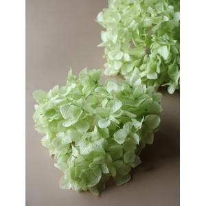 プリザーブドフラワー 花材 即日出荷 ゆめアジサイ・ヘッド ジュリア