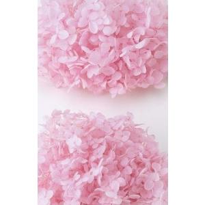 【プリザーブドフラワー　花材　資材】 アナベル・ヘッド・ピンク・大地農園