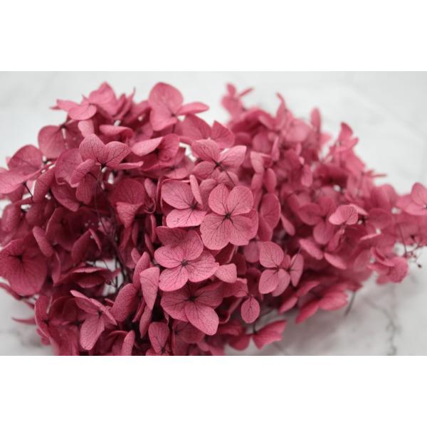 【プリザーブドフラワー　花材　資材】 アナベル・ヘッド・カシスピンク・大地農園