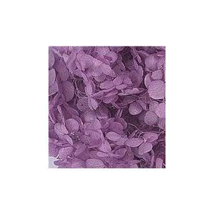 【プリザーブドフラワー　花材　資材】 アナベル・ヘッド・パープル・大地農園