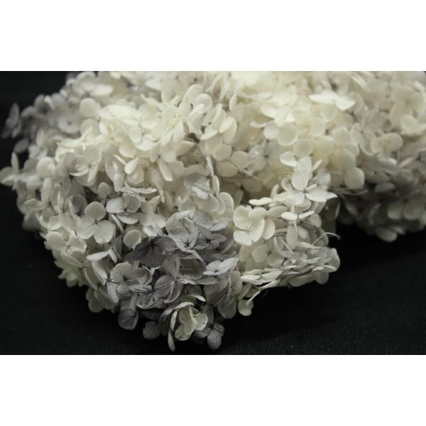 【プリザーブドフラワー　花材　資材】 アナベル・スフレ・ホワイトグレー