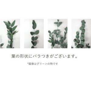 【プリザーブドフラワー 花材 資材】 グニーユ...の詳細画像1