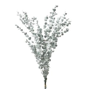 【プリザーブドフラワー 花材 資材】 グニーユー...の商品画像