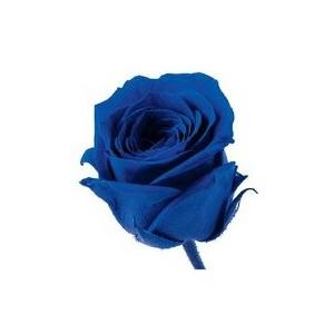 【プリザーブドフラワー　花材　資材】 インディゴブルー・ビビアン・大地農園（24輪入り）