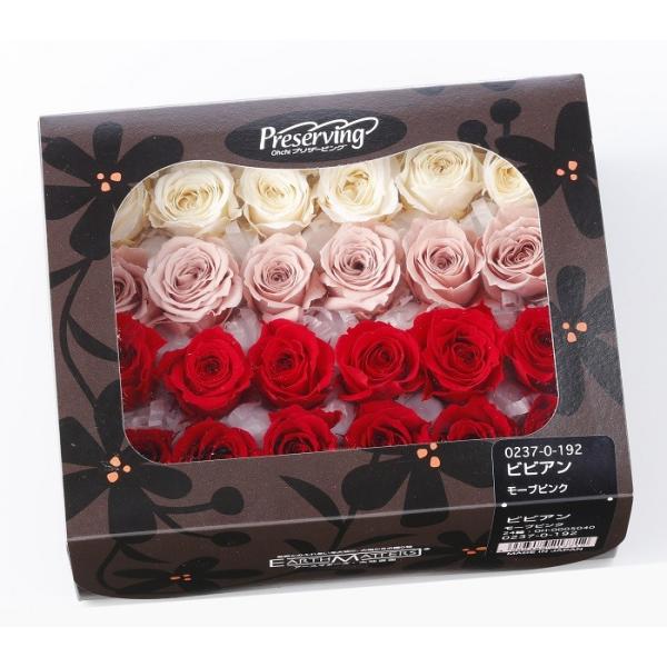 【プリザーブドフラワー　花材　資材】 ビビアン・レッドミックス